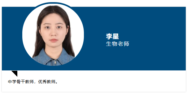 屏幕截图 2026-03-18 153553.png